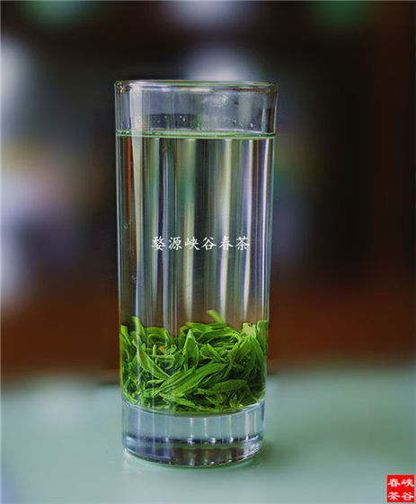 茶多酚相关知识