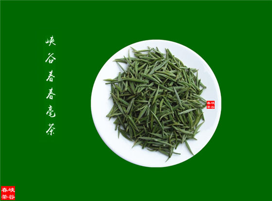 茶多酚相关知识