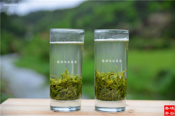 谷雨茶比清明茶更益于健康