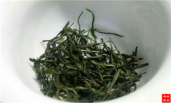 谷雨茶比清明茶更益于健康