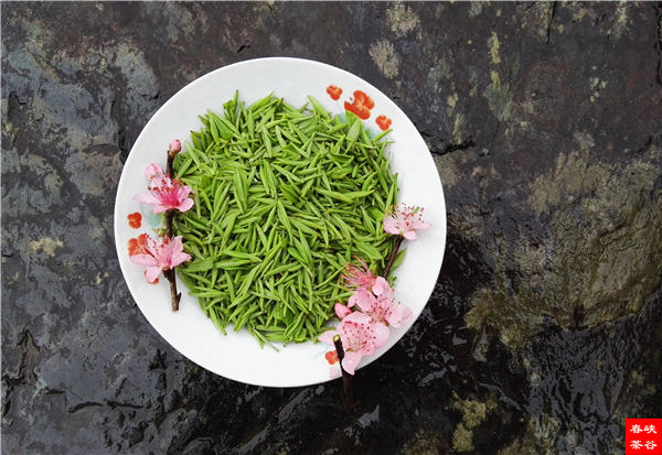 茶为父 水为母