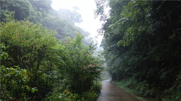 峡谷里的西源