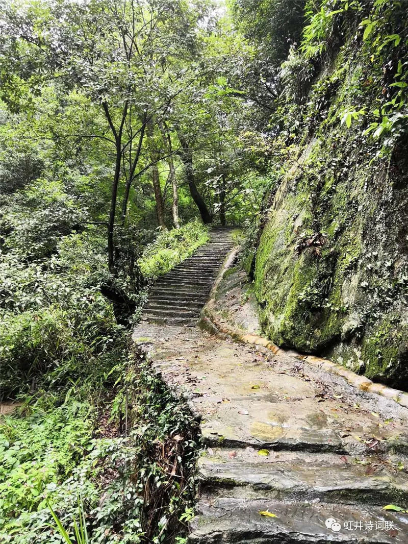 【虹井诗词联】第22期,权威公布“峡谷春杯”全国诗词竞赛获奖名单