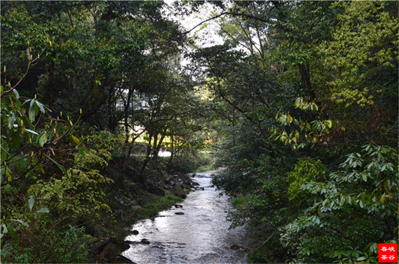 拜谒婺源峡谷(峡谷春)