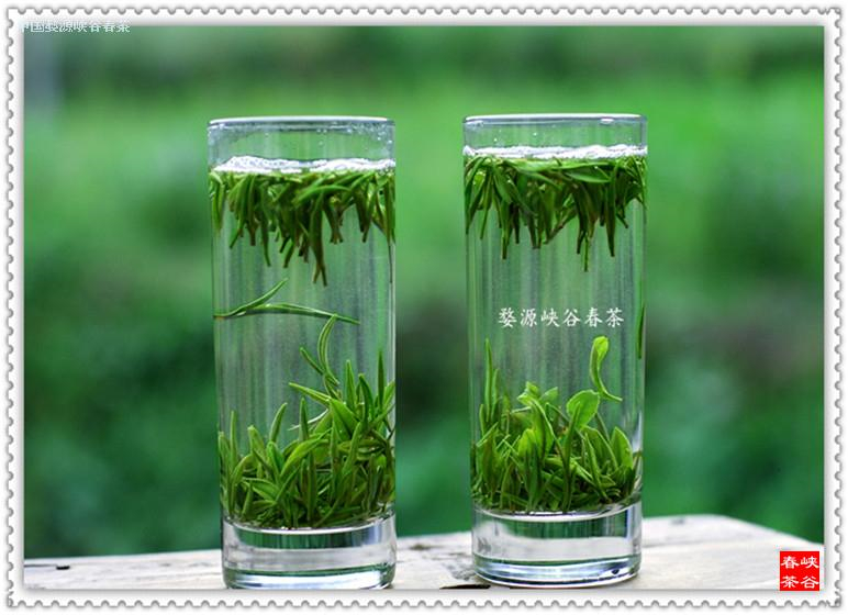 好茶,在西源