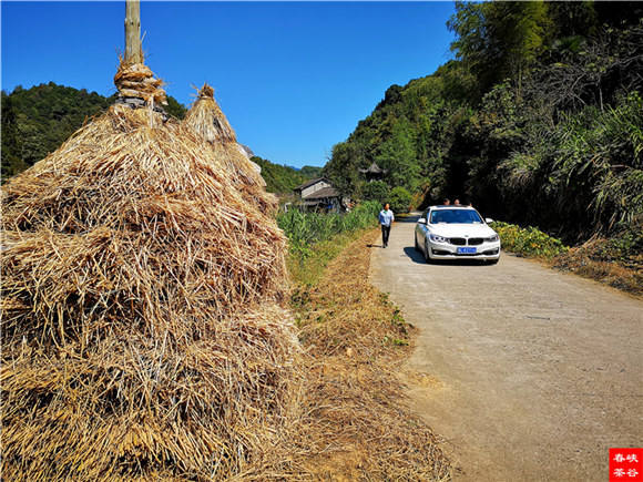 《长淮诗典》情满“峡谷春”婺源金秋诗会