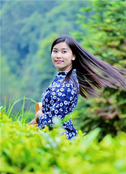 婺源乡间有茶香
