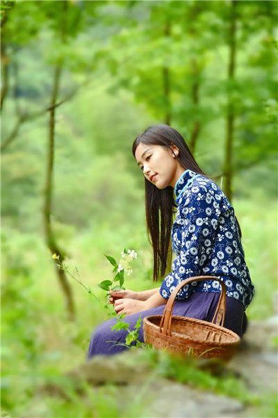 婺源乡间有茶香