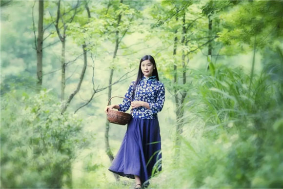 婺源乡间有茶香