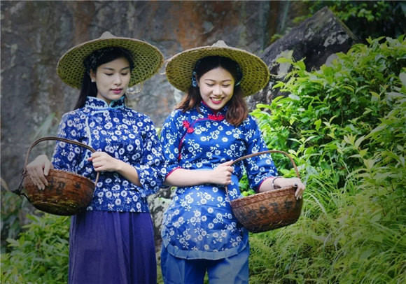 婺源乡间有茶香