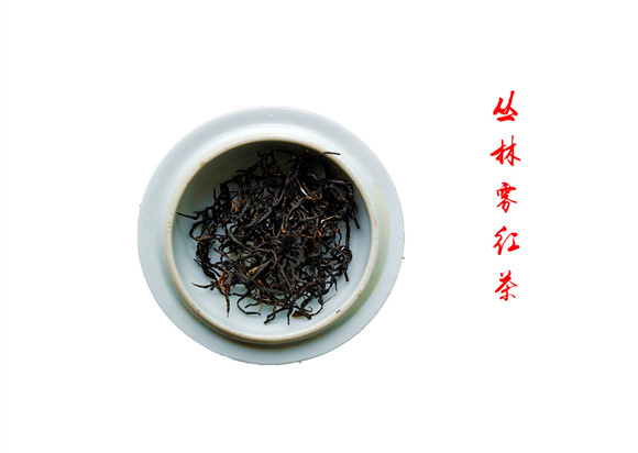 齐贵飞--峡谷深处一抹春