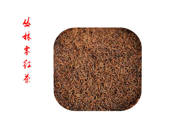 齐贵飞--峡谷深处一抹春