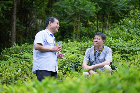 齐贵飞--峡谷深处一抹春