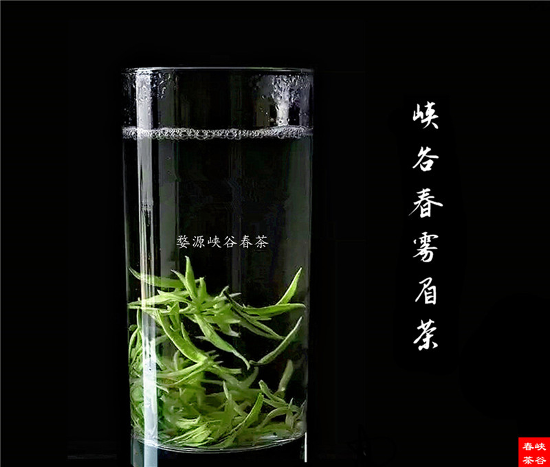 茶叶——是人们最富健康养生的玉叶神草