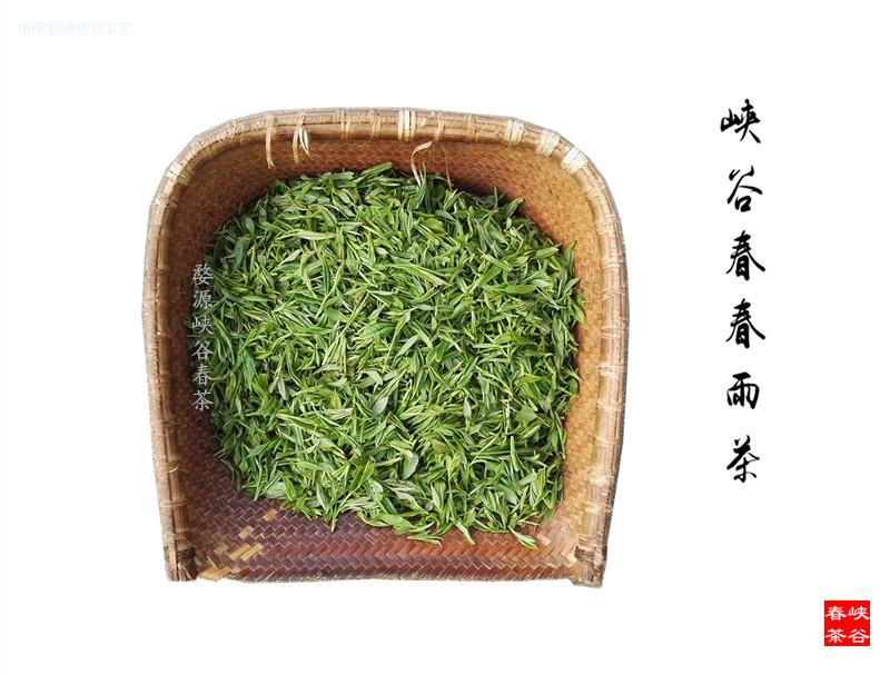喝茶 可补充你日能量中所需的维生素