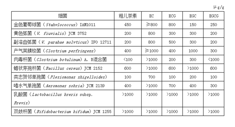茶的杀菌和抗病毒功效