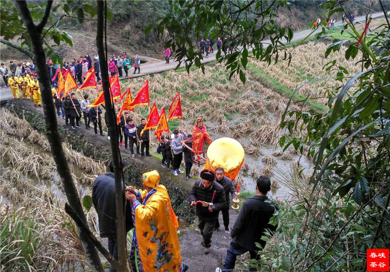 婺源思口镇西源茶坑村,抬汪公民俗活动 婺源思口镇西源茶坑村,抬汪公民俗活动