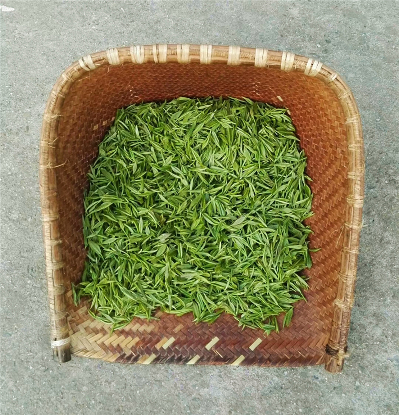 谷雨新茶