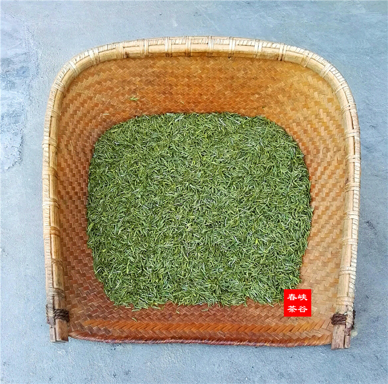喝绿茶可降患胰腺癌风险 喝绿茶可降患胰腺癌风险