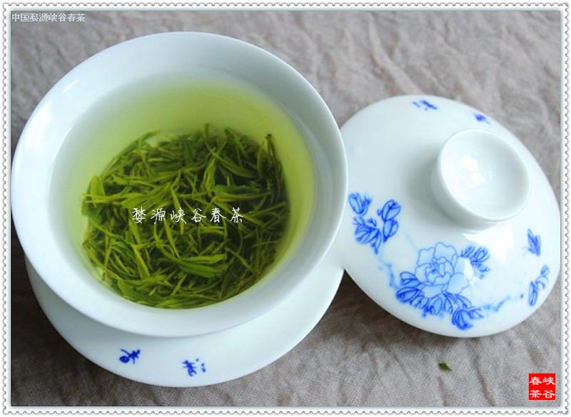 我为家乡的“婺源绿茶”代言 我为家乡的“婺源绿茶”代言