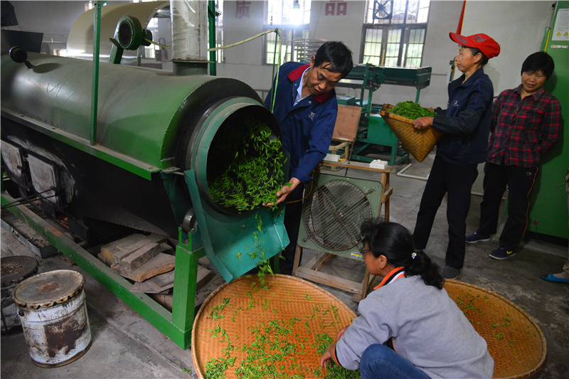 茶好,你一定要用心用意去领会才知道 茶好,你一定要用心用意去领会才知道