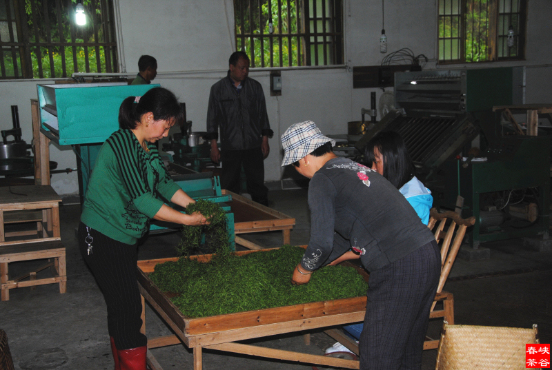 茶好,你一定要用心用意去领会才知道 茶好,你一定要用心用意去领会才知道