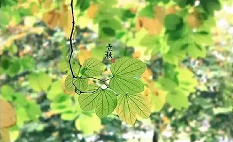 Ӱʫ