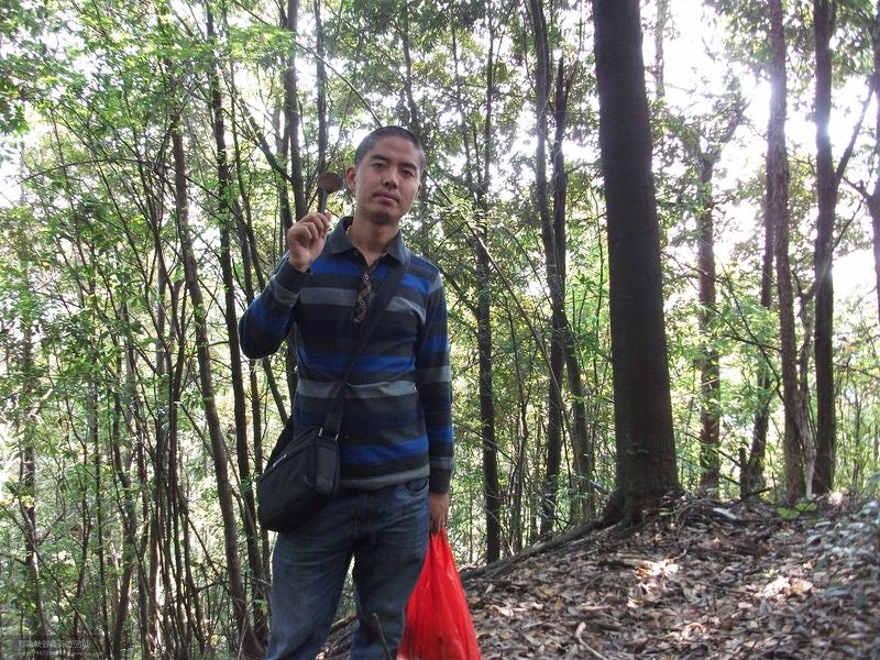 齐贵飞与婺源峡谷春茶 齐贵飞与婺源峡谷春茶