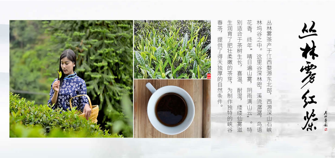 妙品 / 御煎茶道具。